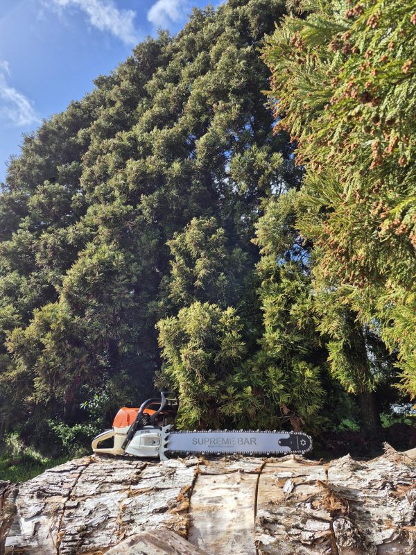 Supreme 22-inch Standard bar to fit Stihl models