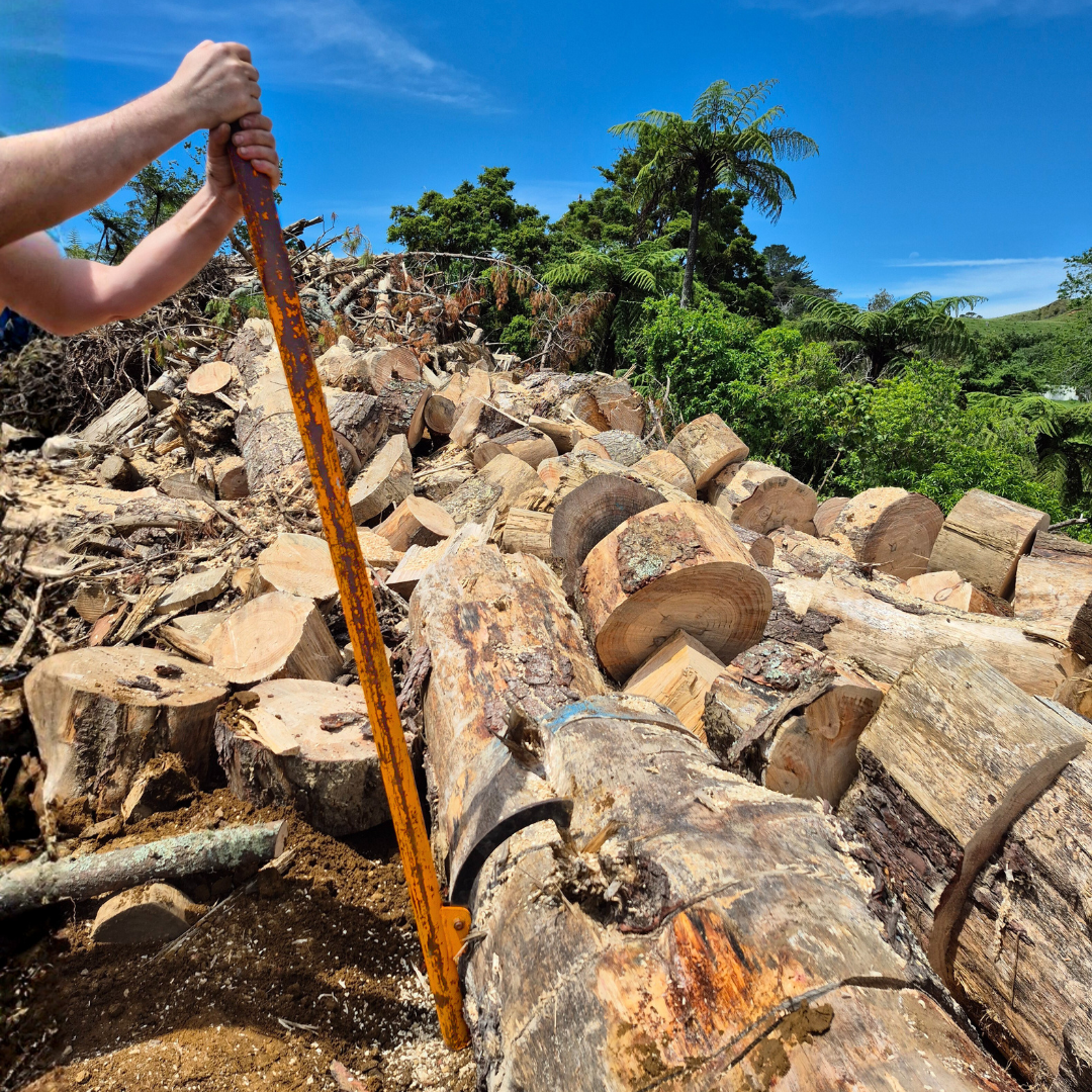 large version log roller in action