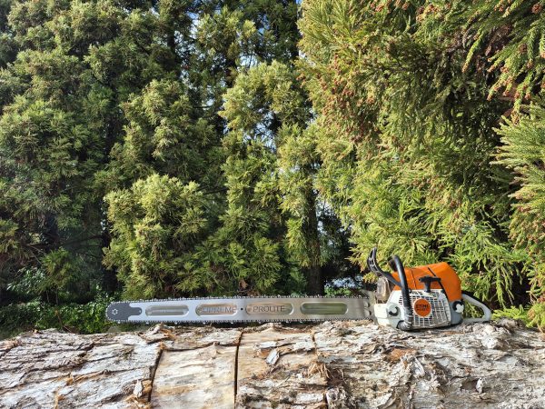 Supreme 42-inch ProLite chainsaw bar - Stihl fit