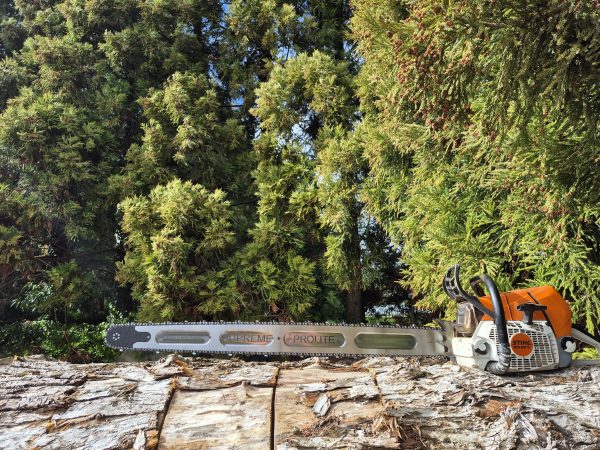 Supreme 42-inch ProLite chainsaw bar - Stihl fit