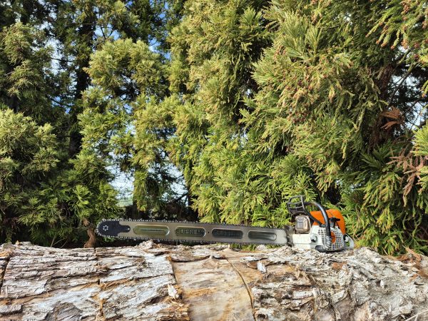 Supreme 42-inch ProLite chainsaw bar - Stihl fit