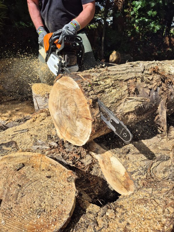 Supreme 28-inch ProLite chainsaw bar - Stihl fit