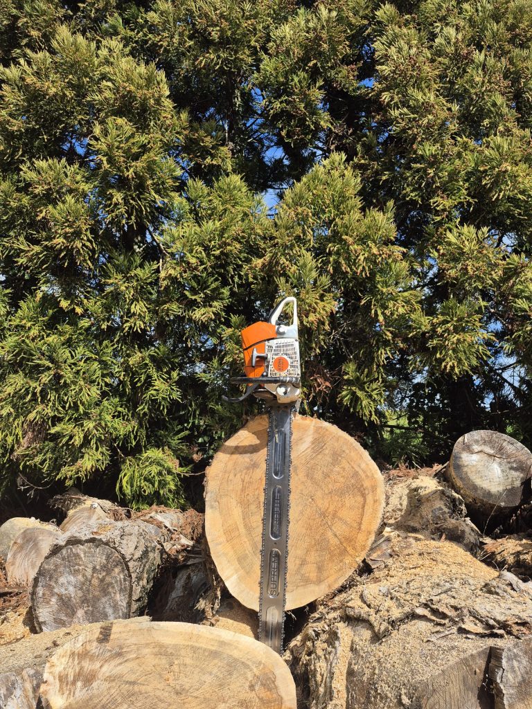 Supreme 42-inch ProLite chainsaw bar - Stihl fit