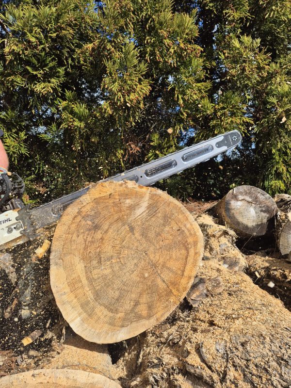 Supreme 42-inch ProLite chainsaw bar - Stihl fit