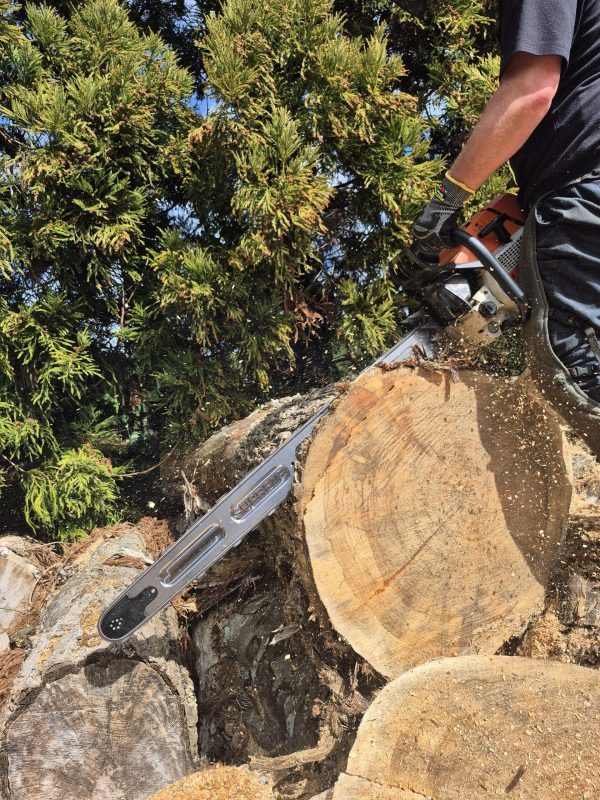 Supreme 42-inch ProLite chainsaw bar - Stihl fit