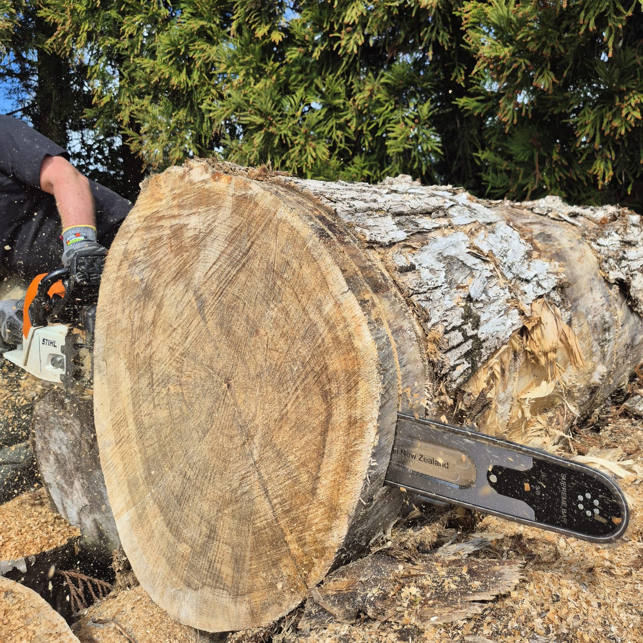 supreme prolite chainsaw bar showing the replaceable pro tip