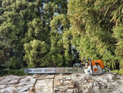 Supreme 42-inch ProLite chainsaw bar - Stihl fit