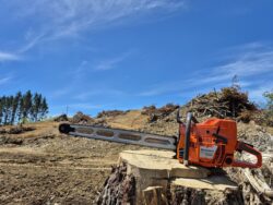supreme prolite on a husqvarna