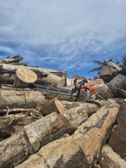 stihl chainsaw with a supreme prolite bar