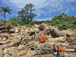chainsaws with supreme prolite bars on them